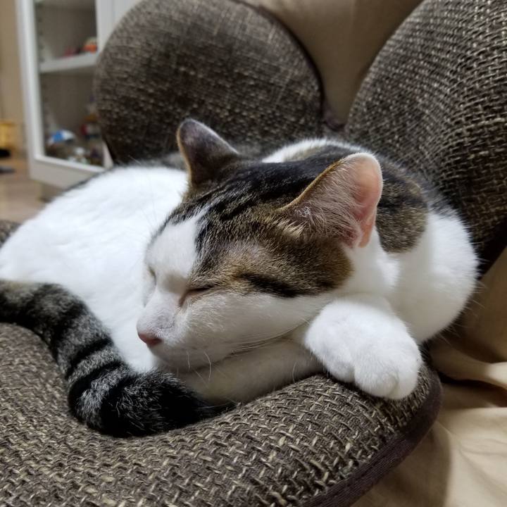 7b1d9d26 f8fd 485d 87b0 94d7a6459348 1620561764812