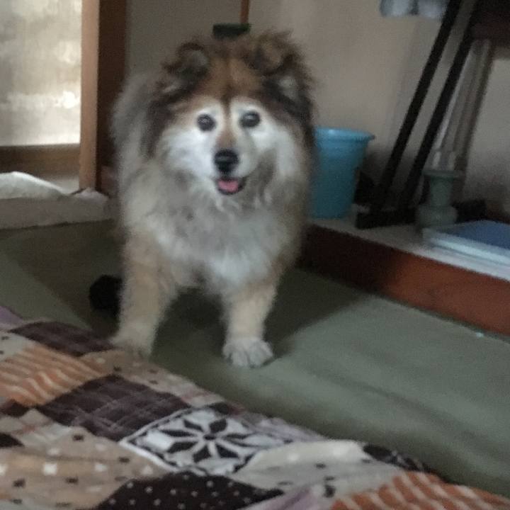 7b1d9d31 3778 42f3 b79f 4807e31225ee 1583974921478