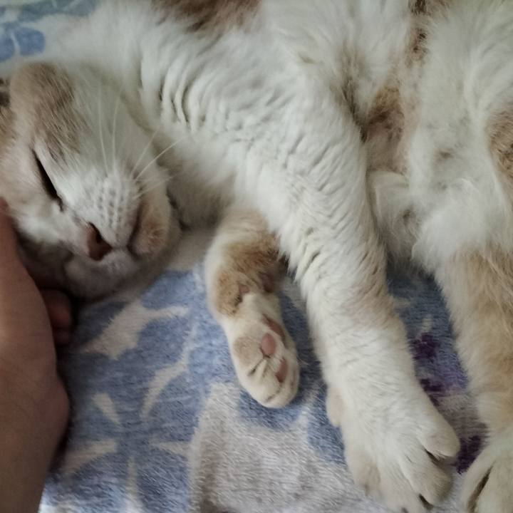 7b1daab6 6a8d 4a23 b3f3 e2b7d1adf52f 1656022596460