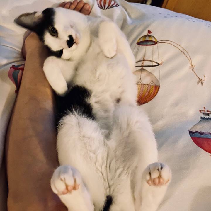 7b1db815 aa24 4e39 8262 ebc59948e934 1598805040800