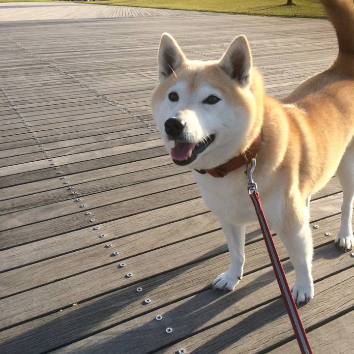 7b1dd9df c478 4a25 b928 10500ad35b7a 1550587572516