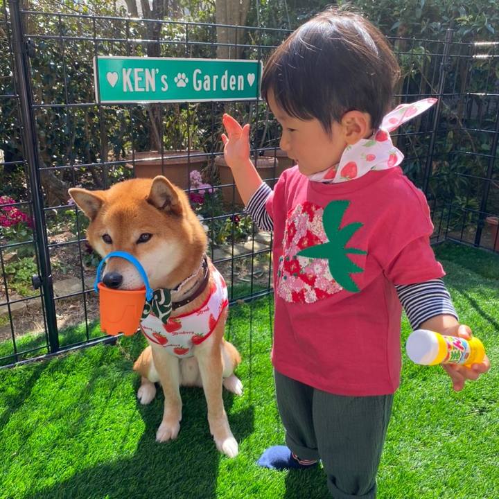 7b1ddcb7 331a 45fe 9b28 2754b37f51c5 1584532842154