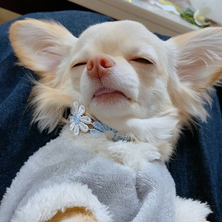 7b1e030c e829 448a bafb ce033b5e49bf 1613726194097