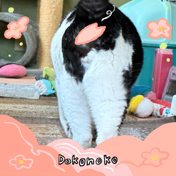 7b1e64c5 75a9 44af b51d 77627f213a94 1775440380528