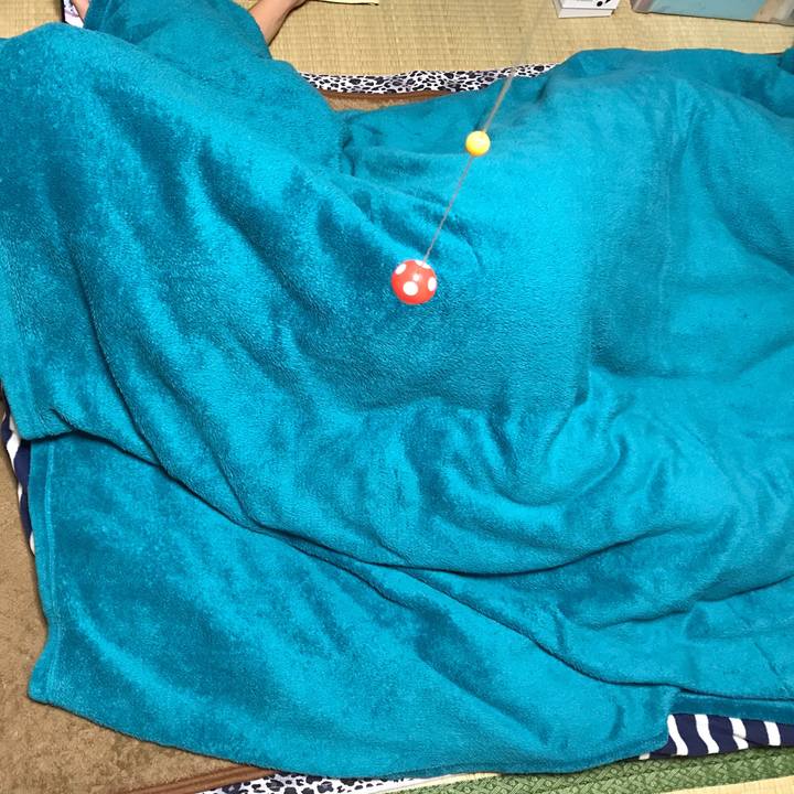 7b1ed031 1054 4243 81c8 a6f0b43f0924 1544890389488