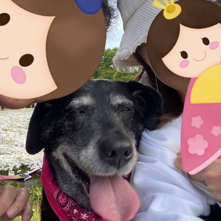 7b1ef0da 5054 4a13 8563 b641a5265b81 1682255198377