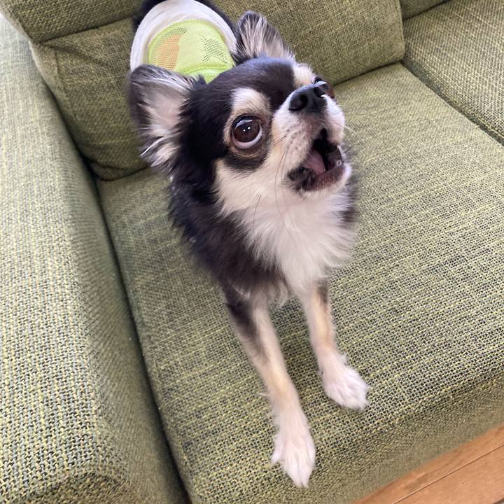 7b1ef14f 0dc4 4792 a7d6 85417d09883b 1685289634600