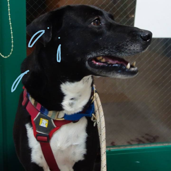 7b1ef4c0 7ea8 456c 8dd9 fa67b5b4455b 1649069929663