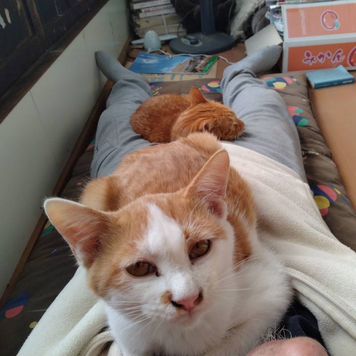 7b1f0c87 50fe 4fb9 ba32 95a522d502b0 1731584273071