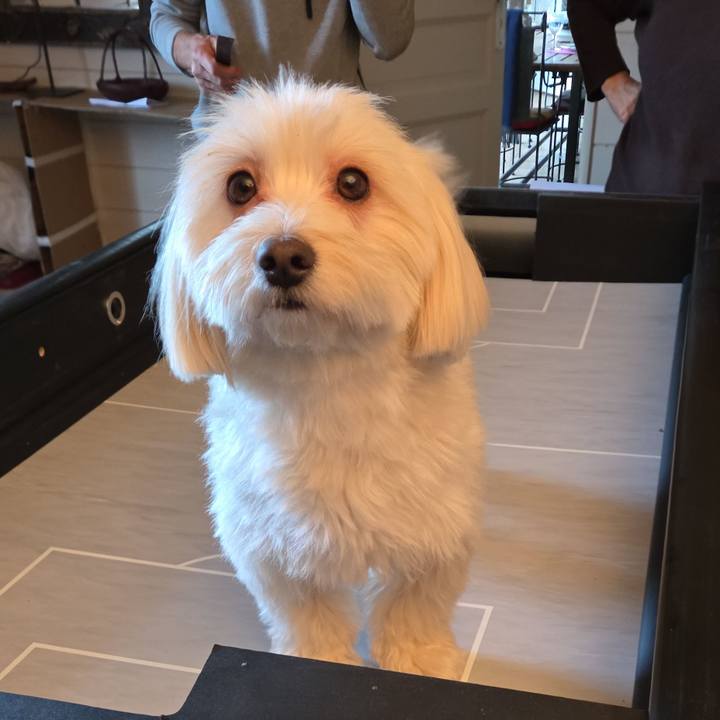 7b1f2e00 64e3 47dc b2d4 0a2682450b17 1762687918401