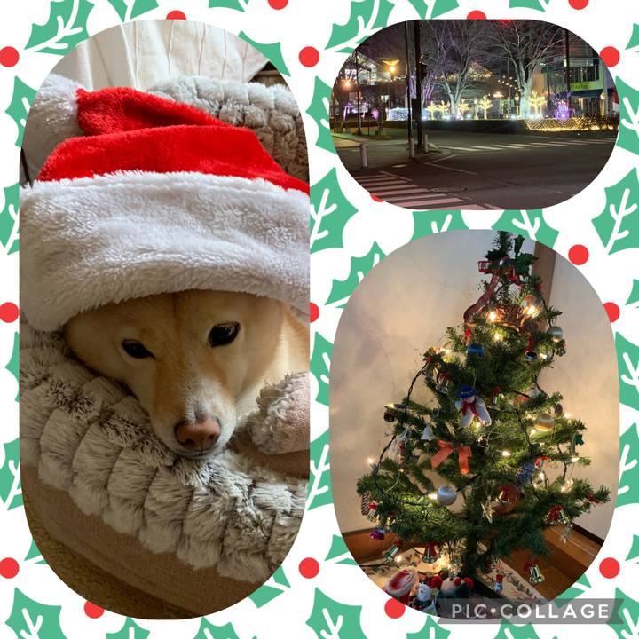 7b1f9e31 37db 4b78 96e7 b7da76a216c5 1639483841853