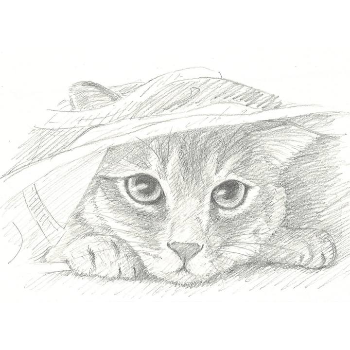 7b1fa4c4 5932 41d0 9a2f 7e2787656338 1536930608127