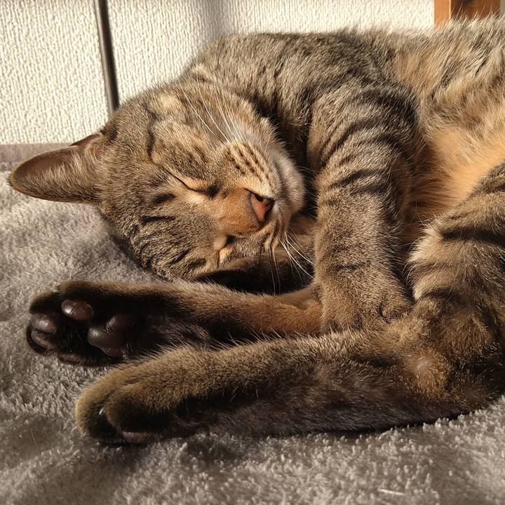 7b200894 0eed 4351 8e7d 33a77940870d 1645946907649