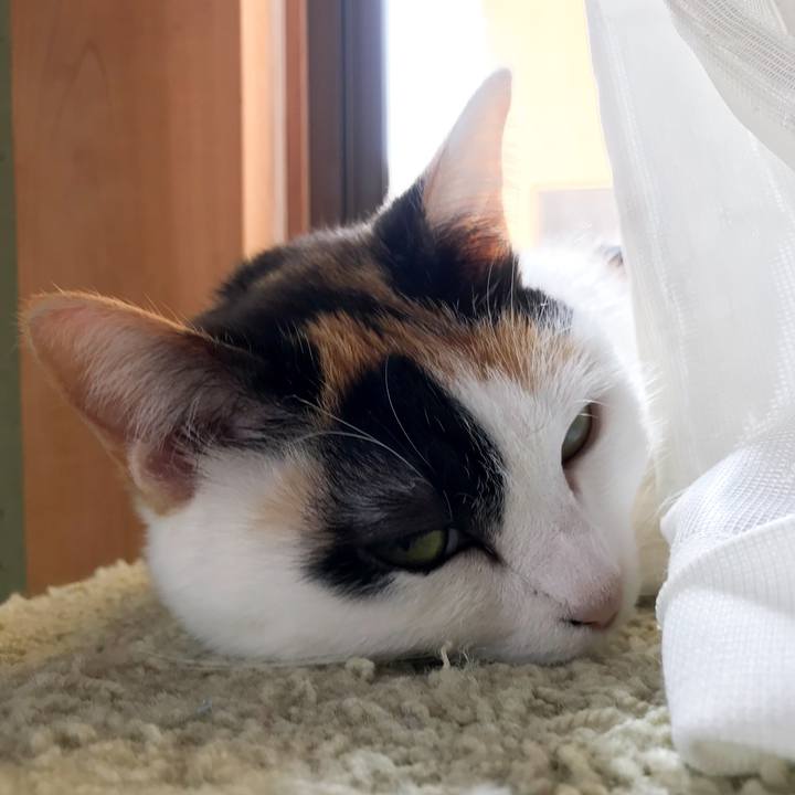 7b20207a a0a1 4750 912d d77977b7ceb3 1521507845781