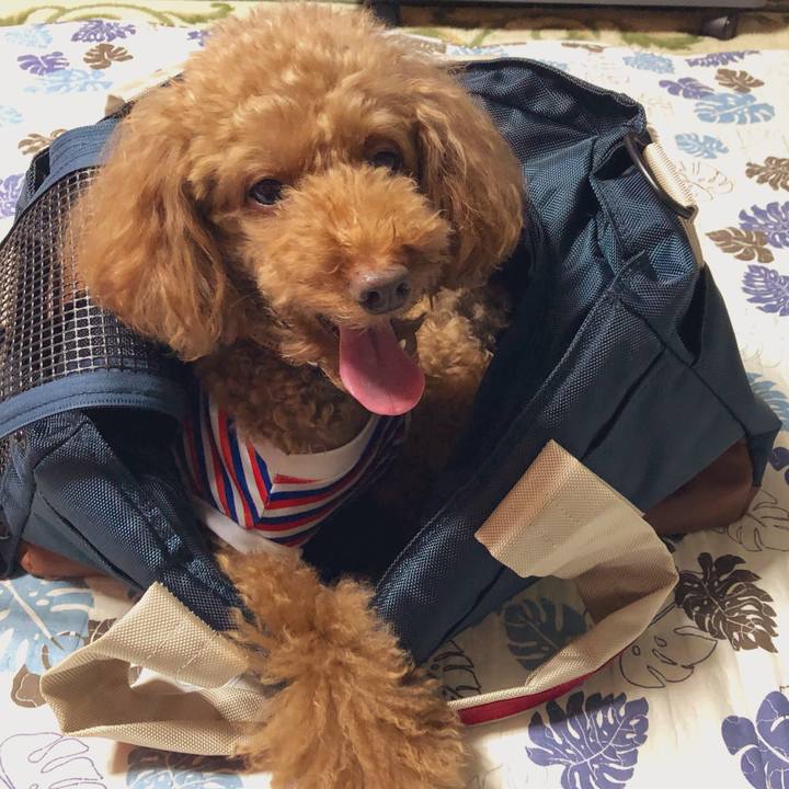 7b2028a5 4915 4d5f a32e f4c1cbf5d1f0 1567927639627