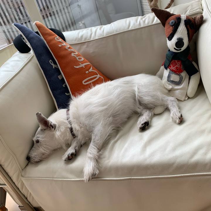 7b2049e6 ece1 4baf 9dde 4bd7284bc560 1729222247252