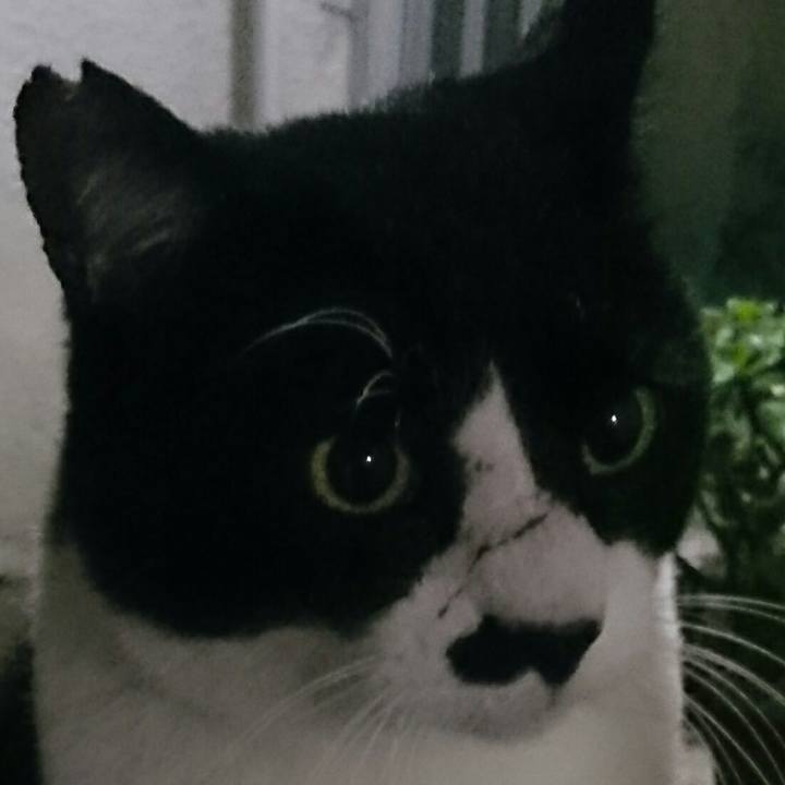 7b206e9b bc71 4d32 a89c 5e7221f4868c 1513050689412