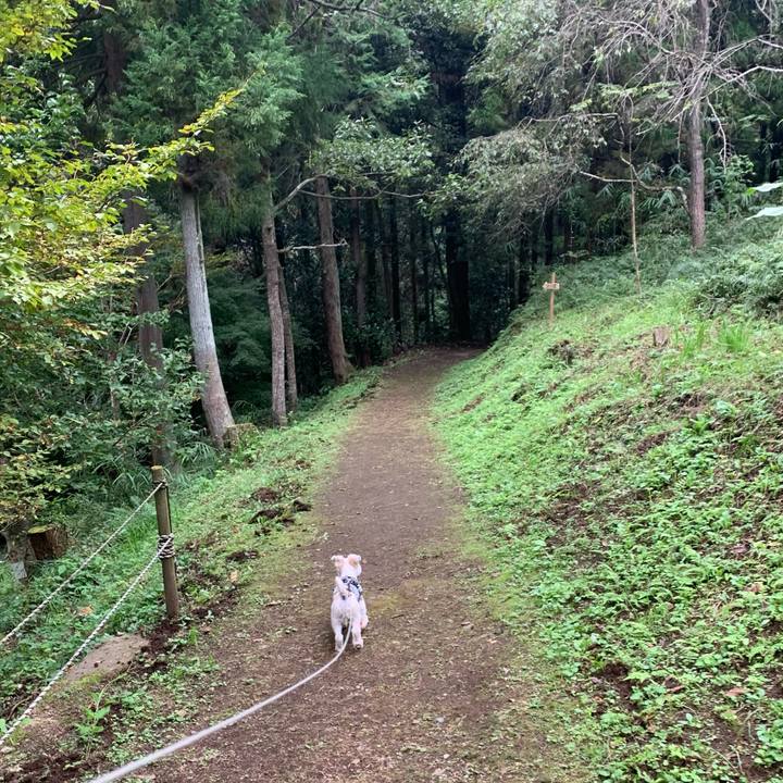 7b208c64 4678 4e22 9be8 f3dd0fc8c796 1602756334163