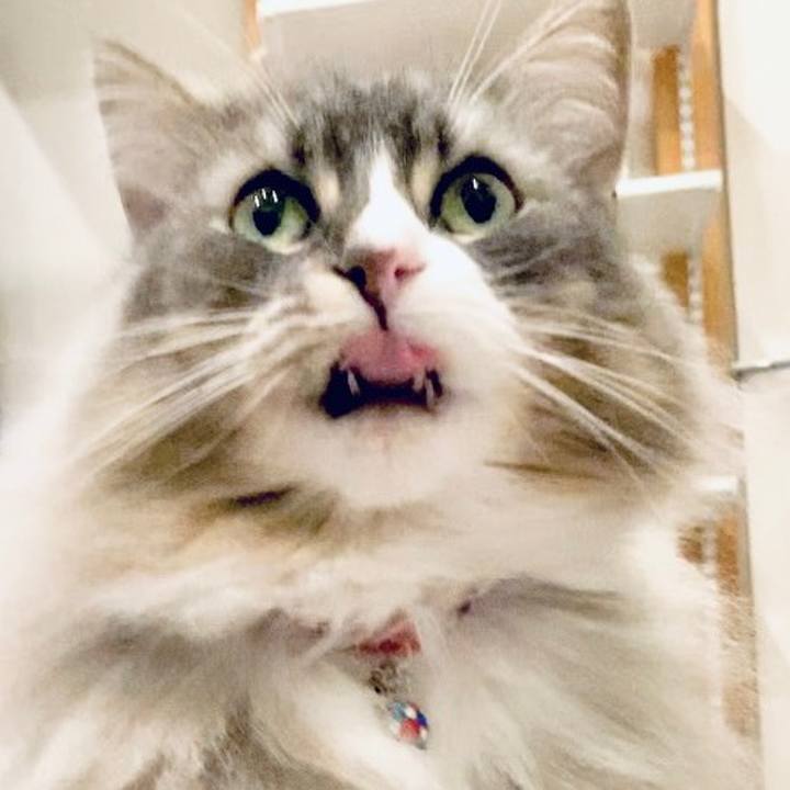 7b20abca 0c68 4f3b 9fc5 bd1c94318894 1680022514969