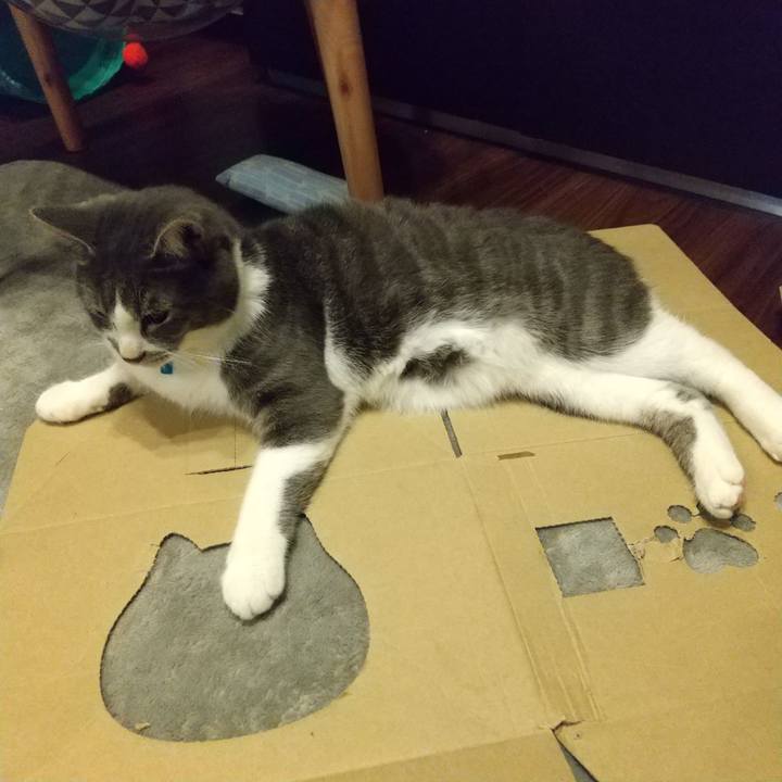 7b21224d aafc 4c97 a84e fb6da8d2d464 1605129904851