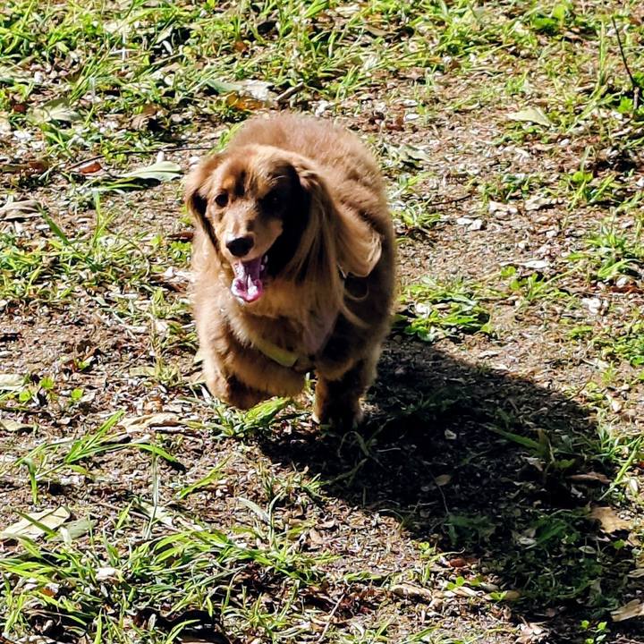 7b21448a 2516 4ba3 8186 fdd1270f2040 1758589564010