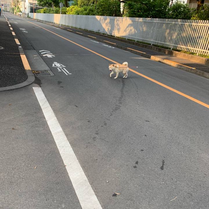 7b214fe5 dc41 43e1 b04f a028d461f0c1 1654385107262