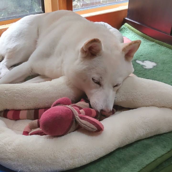 7b215ca1 c9a1 4fd4 a118 91594d4ba13f 1635047242666