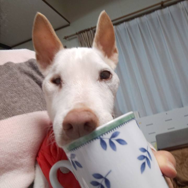 7b2197b4 f10c 4f2a 84a2 11132ee30888 1578440102431