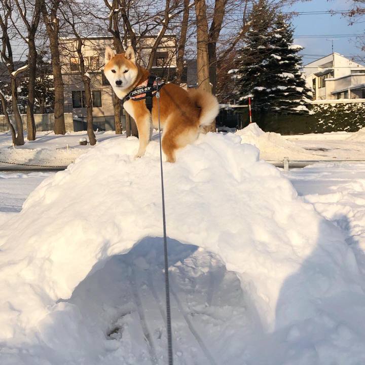 7b219851 624a 4c93 a84f 3d2cc39b3ee6 1579660099476