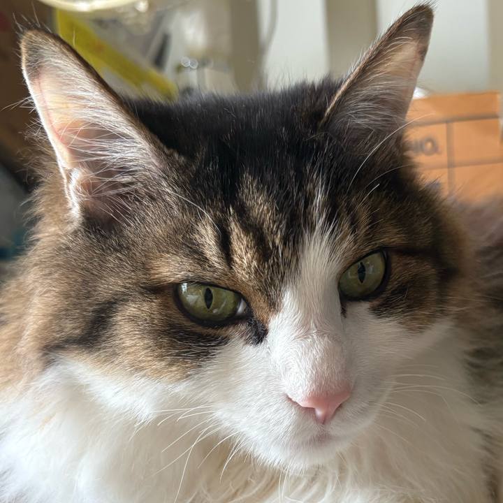 7b21abb6 d7e5 4ecb bf48 32e24feaaa52 1774655736135