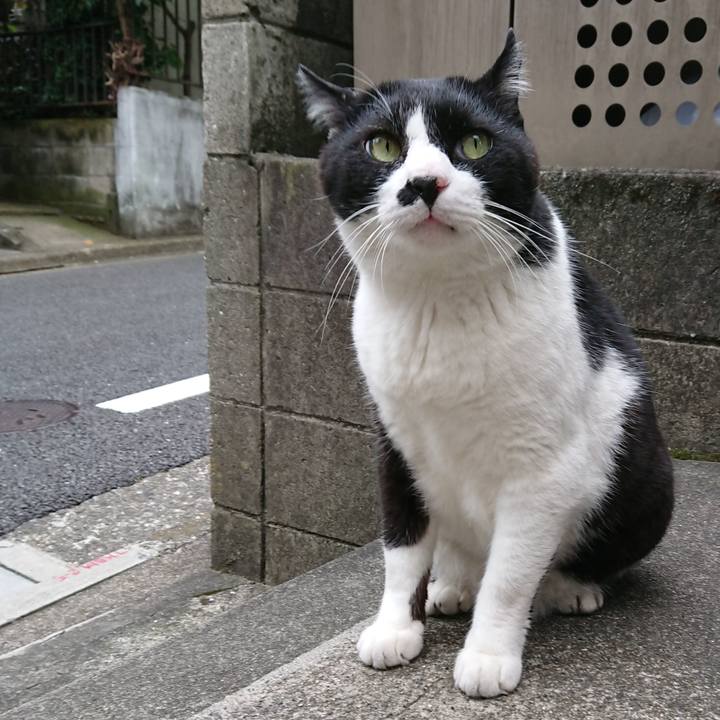 7b21ad90 177a 4f47 aea3 a6bdd12f71d1 1529218661518