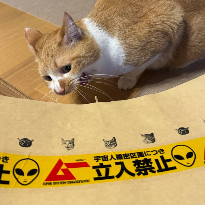 7b21c89d f183 44ae bfd7 3ff9828198a5 1766734708297