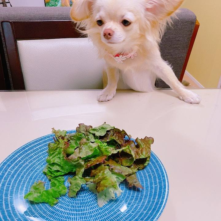 7b222aa2 4d88 4dca 85c0 f794e4d37177 1625317363415