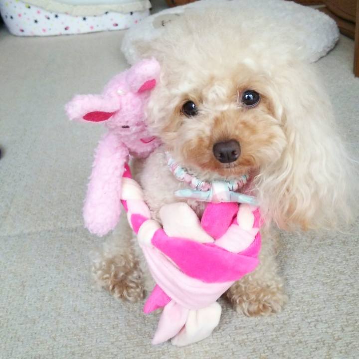 7b2231df 0267 4b1c 9951 c6ab0c56b244 1517027618122