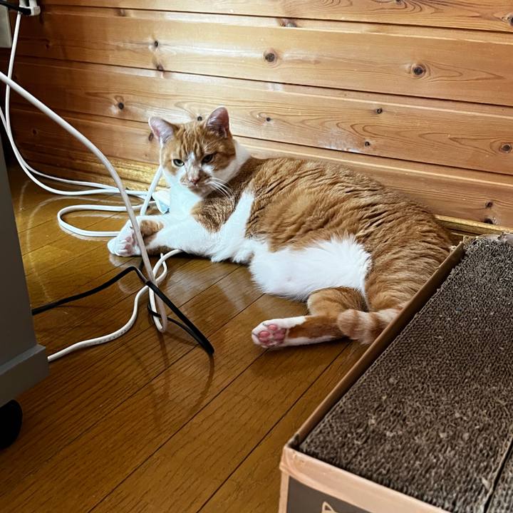 7b223b5b 8a28 4768 bd4f 57525fd0e179 1720491358448