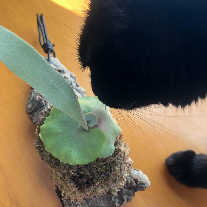 7b225902 50aa 4b8e 847c 7842e9df288b 1644108713460