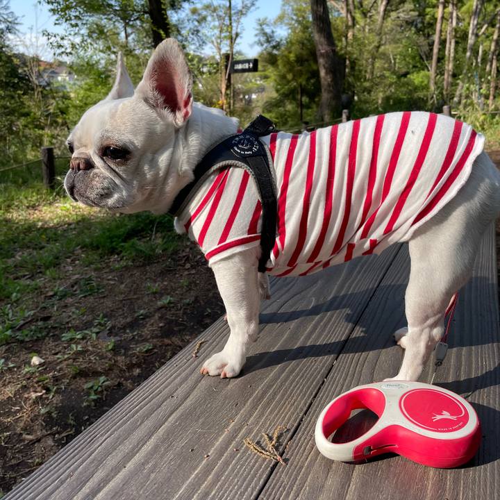 7b225a27 cc6b 4e38 a7e3 39ff806276d2 1744690168668