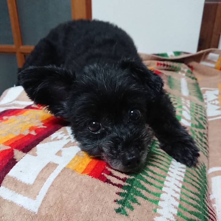 7b22c67c 4390 4127 8504 615654f1e529 1560956436991