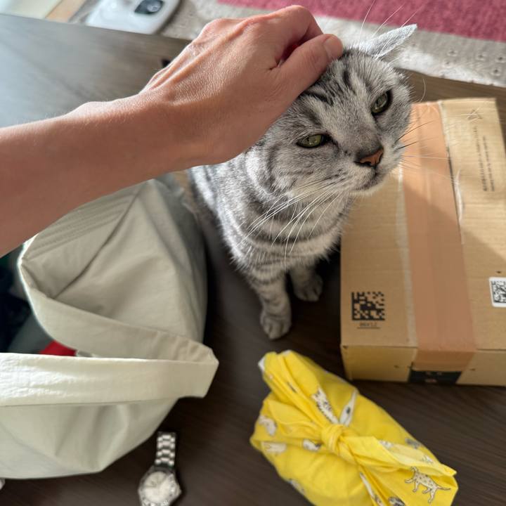 7b22cf2d 7675 4780 82cb 94dfb7aaeeb4 1759926546572