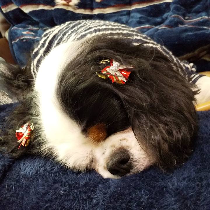 7b230b7f 4327 4d73 8b25 bf6518f7579b 1575784904795