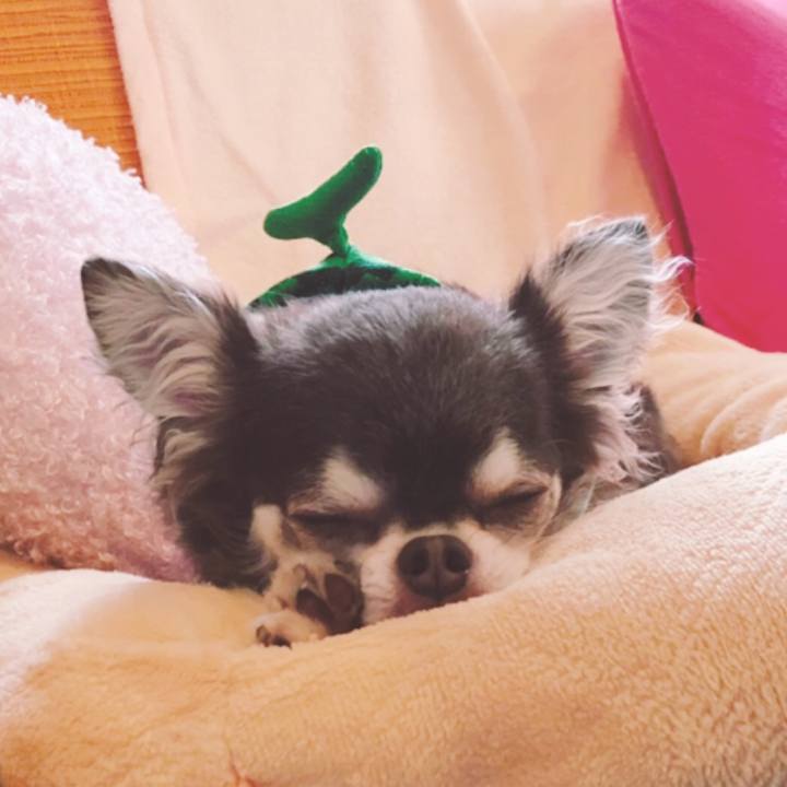 7b2317fa 3c59 455a b7ab 0c3faa01b301 1563233962626