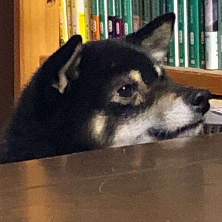 7b2376ec 0288 465f 8357 132bb6a114c7 1543624879179