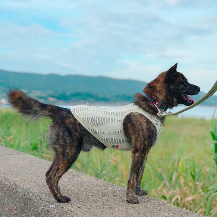 7b23813b c722 4695 bda2 7e3e2dc8110a 1532739075827