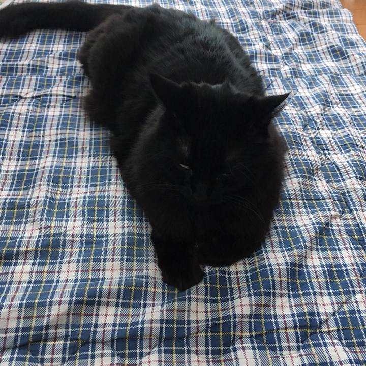 7b23e39e 143c 4fe5 9141 767c256461fd 1514244647503