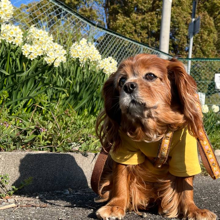 7b242575 d852 481f 9e79 e419cfb613f5 1773622244258