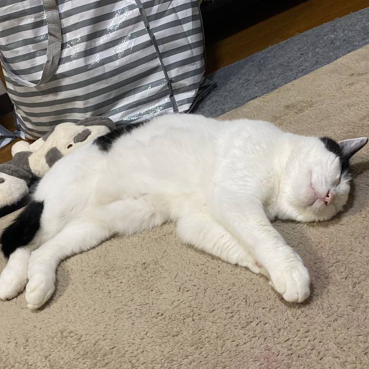 7b244850 16d8 4f4d adda 7f33406d58d4 1697804571859