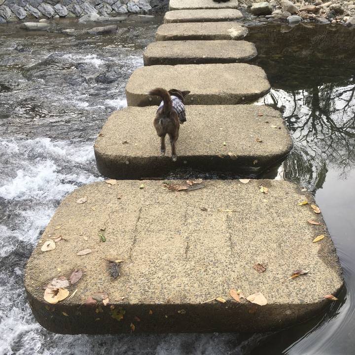 7b2457ae 9f71 4902 9dd5 606d9be3aace 1544698262127