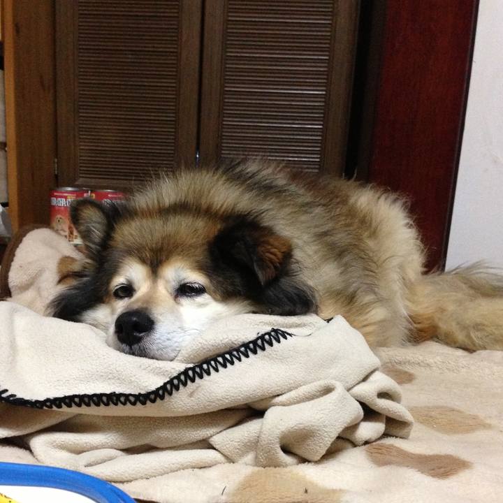 7b247931 dbcc 401d a8d1 811fd21ef111 1566767562866