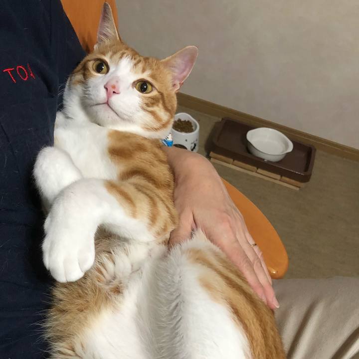 7b24b314 98d7 4d01 938e c469220e3420 1531482429046