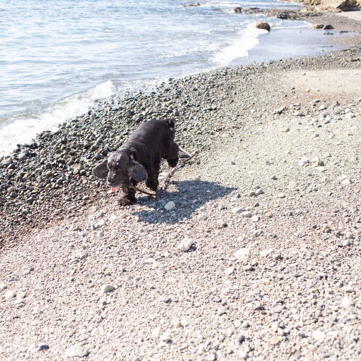 7b24b4de c025 4305 b067 2d7dbe34b798 1549193823383